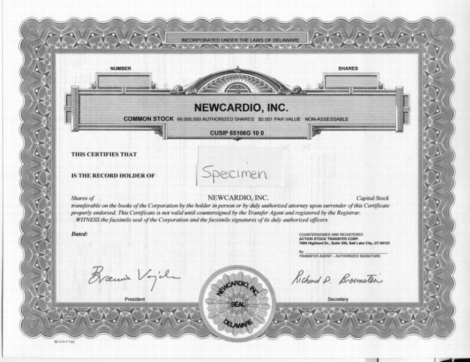 Stock Certificate